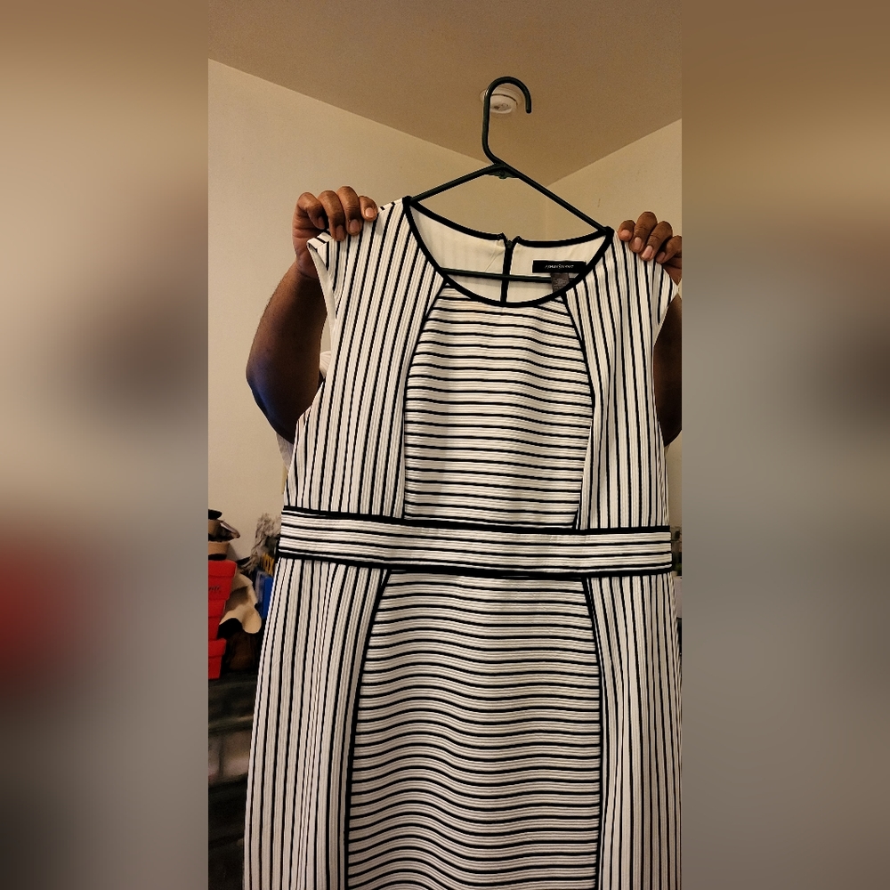 Knee length sheath dress
